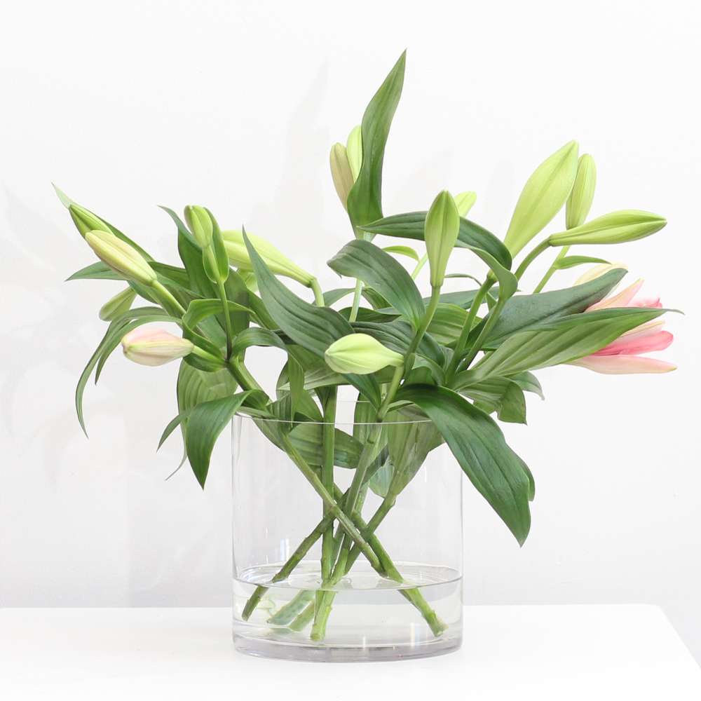 Bouquet Twister - Champagne Green